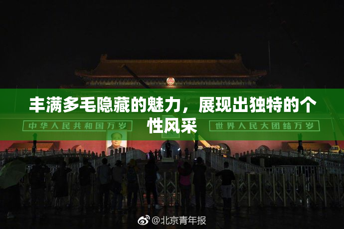 丰满多毛隐藏的魅力，展现出独特的个性风采