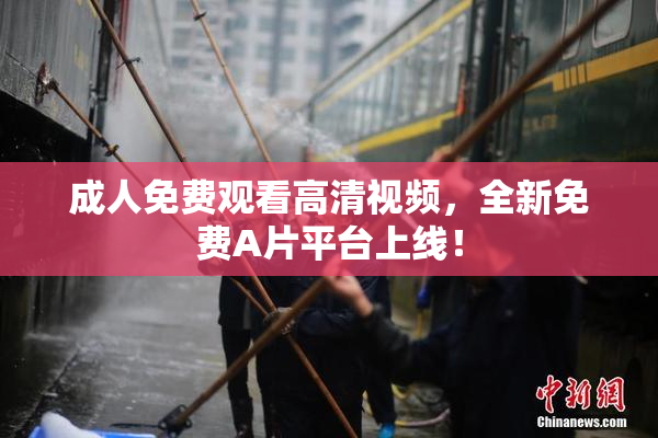 成人免费观看高清视频，全新免费A片平台上线！
