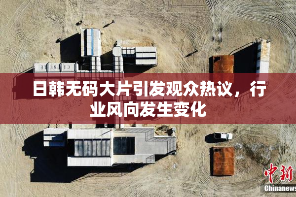 日韩无码大片引发观众热议，行业风向发生变化