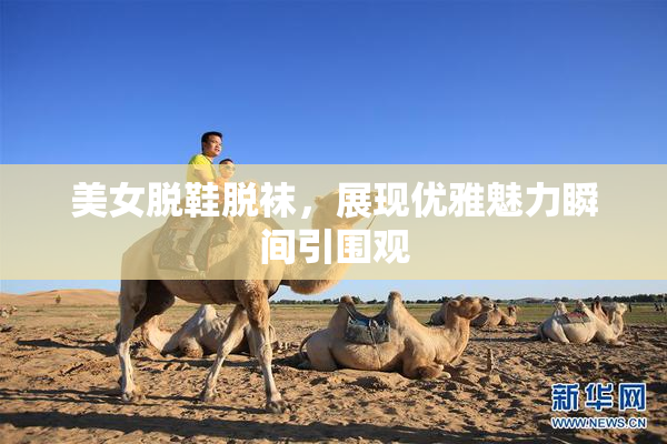 美女脱鞋脱袜，展现优雅魅力瞬间引围观