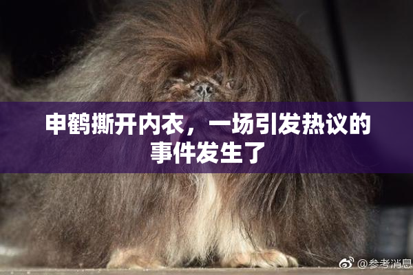 申鹤撕开内衣，一场引发热议的事件发生了