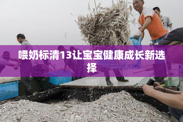 喂奶标清13让宝宝健康成长新选择