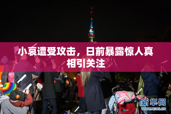 小哀遭受攻击，日前暴露惊人真相引关注