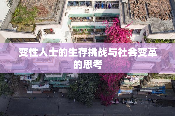 变性人士的生存挑战与社会变革的思考