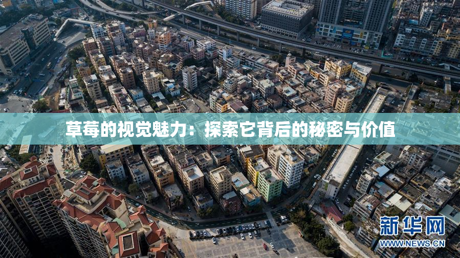 草莓的视觉魅力：探索它背后的秘密与价值