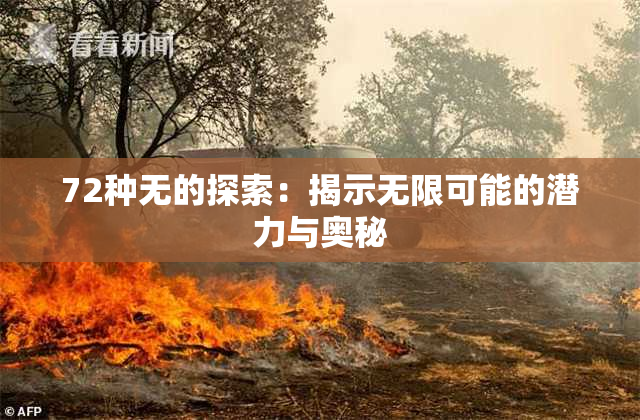 72种无的探索：揭示无限可能的潜力与奥秘