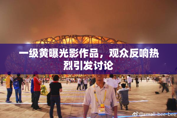 一级黄曝光影作品，观众反响热烈引发讨论
