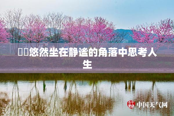 妺妺悠然坐在静谧的角落中思考人生