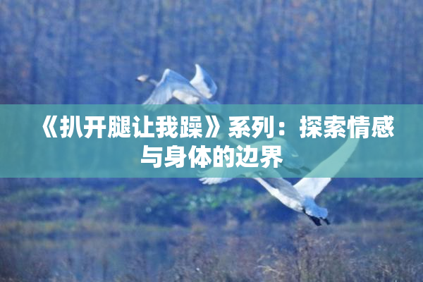 《扒开腿让我躁》系列：探索情感与身体的边界