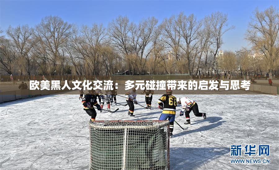 欧美黑人文化交流：多元碰撞带来的启发与思考