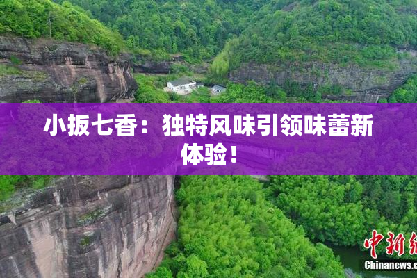 小扳七香：独特风味引领味蕾新体验！