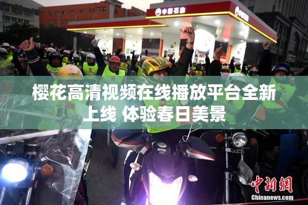 樱花高清视频在线播放平台全新上线 体验春日美景