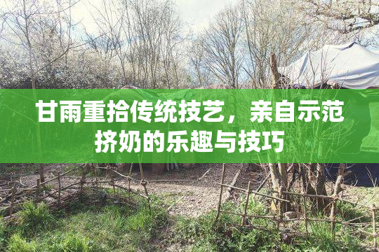 甘雨重拾传统技艺，亲自示范挤奶的乐趣与技巧