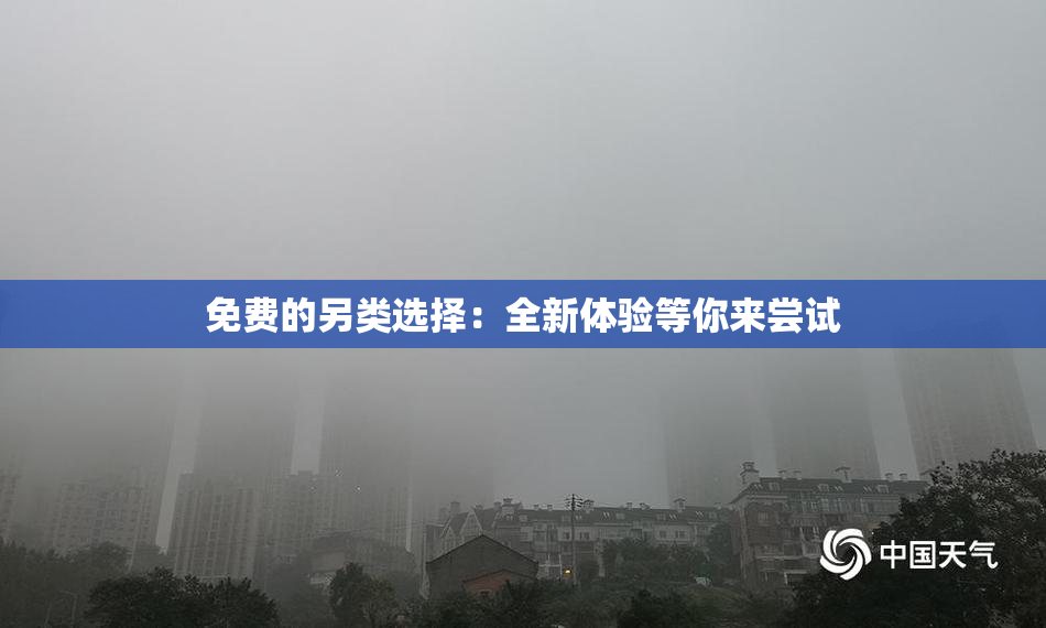 免费的另类选择：全新体验等你来尝试