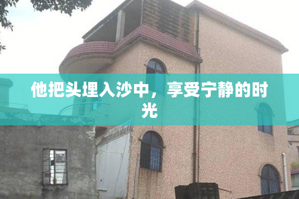 他把头埋入沙中，享受宁静的时光