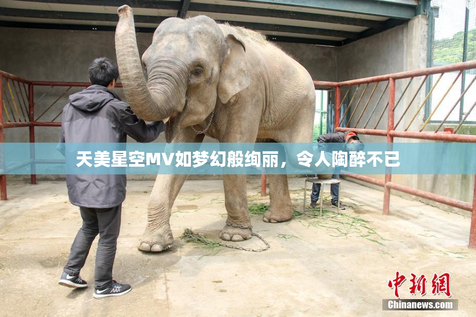 天美星空MV如梦幻般绚丽，令人陶醉不已
