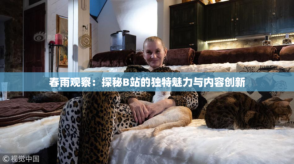 春雨观察：探秘B站的独特魅力与内容创新