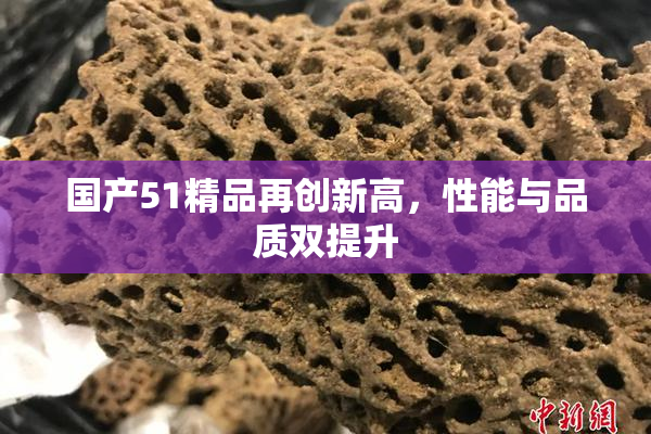 国产51精品再创新高，性能与品质双提升