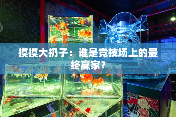 摸摸大扔子：谁是竞技场上的最终赢家？