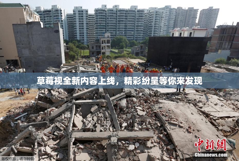 草莓视全新内容上线，精彩纷呈等你来发现
