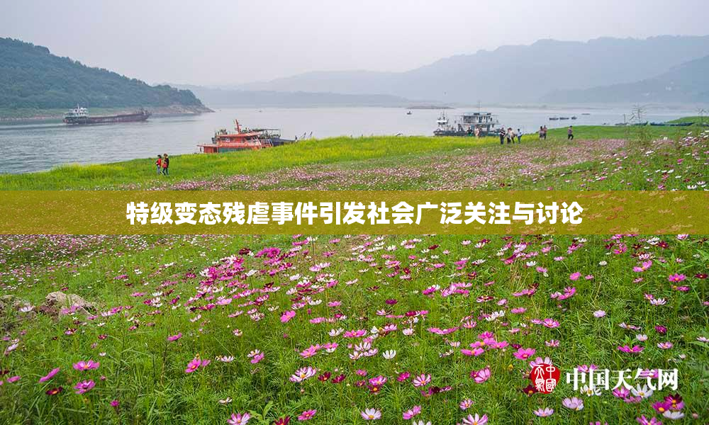 特级变态残虐事件引发社会广泛关注与讨论