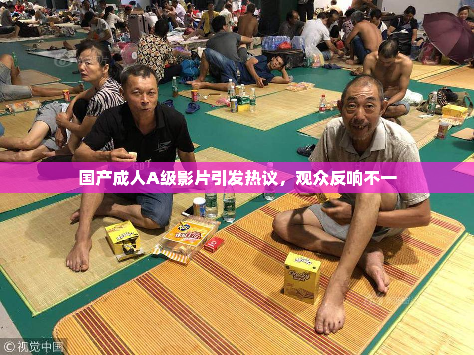 国产成人A级影片引发热议，观众反响不一