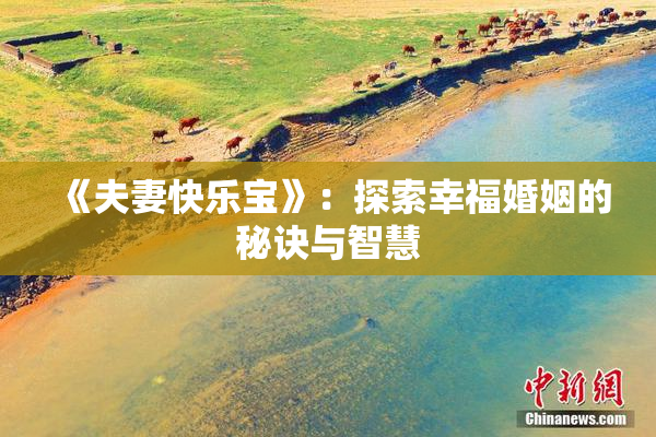 《夫妻快乐宝》：探索幸福婚姻的秘诀与智慧