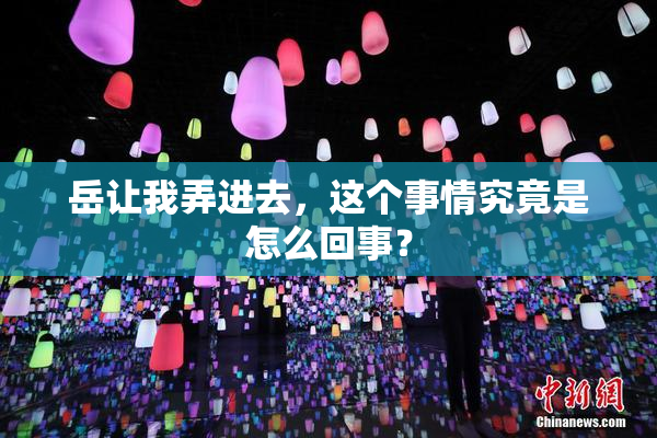 岳让我弄进去，这个事情究竟是怎么回事？