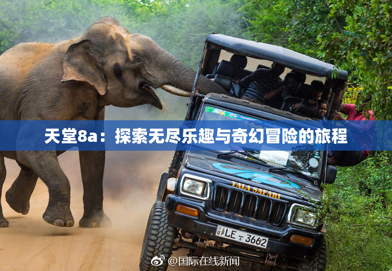 天堂8a：探索无尽乐趣与奇幻冒险的旅程