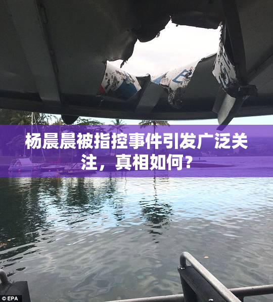 杨晨晨被指控事件引发广泛关注，真相如何？