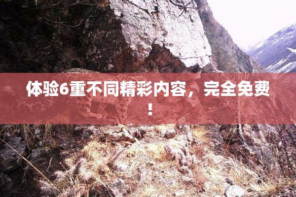 体验6重不同精彩内容，完全免费！