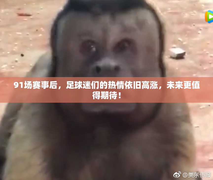 91场赛事后，足球迷们的热情依旧高涨，未来更值得期待！