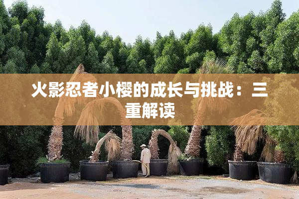 火影忍者小樱的成长与挑战：三重解读