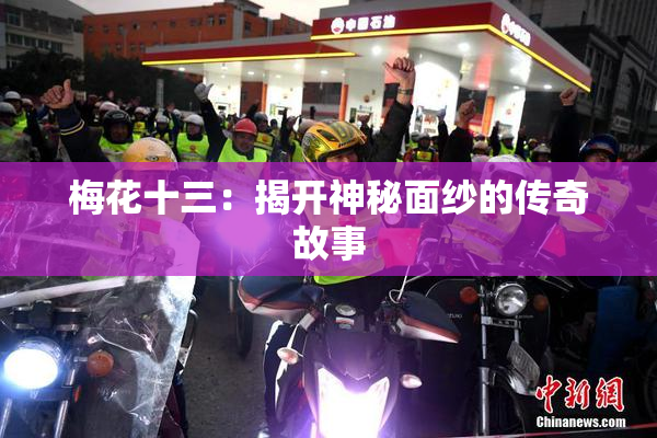 梅花十三：揭开神秘面纱的传奇故事
