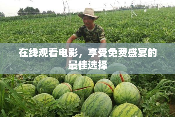 在线观看电影，享受免费盛宴的最佳选择