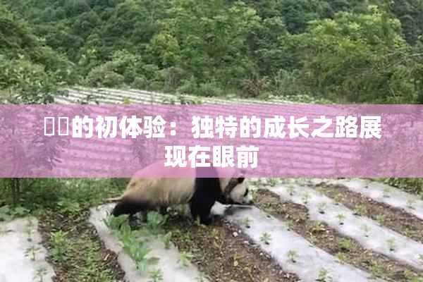 妺妺的初体验：独特的成长之路展现在眼前