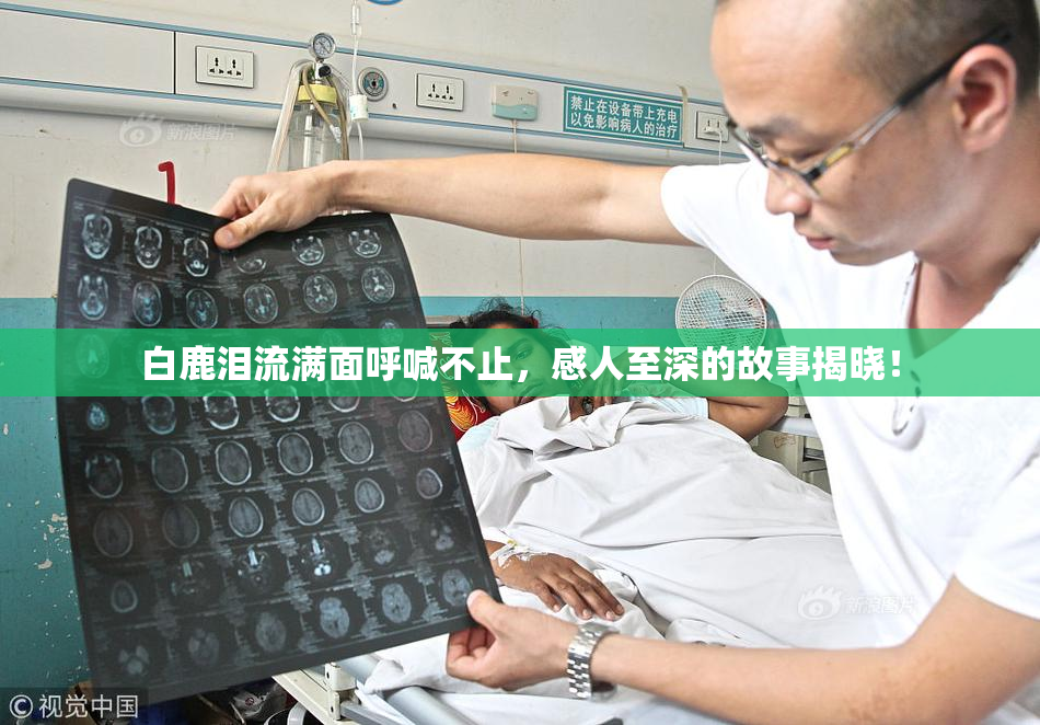 白鹿泪流满面呼喊不止，感人至深的故事揭晓！