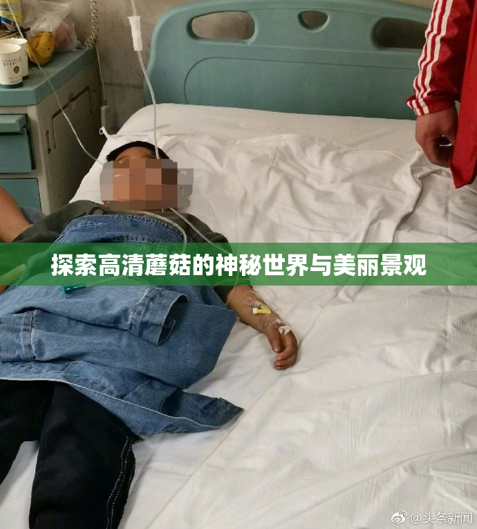 探索高清蘑菇的神秘世界与美丽景观