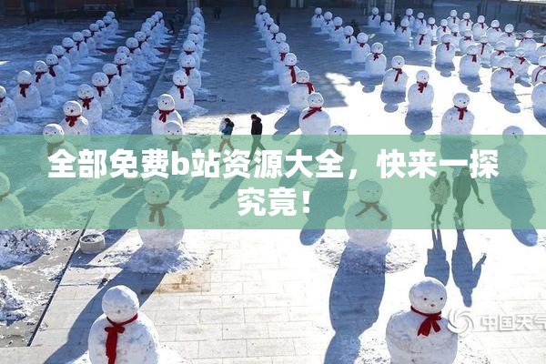 全部免费b站资源大全，快来一探究竟！
