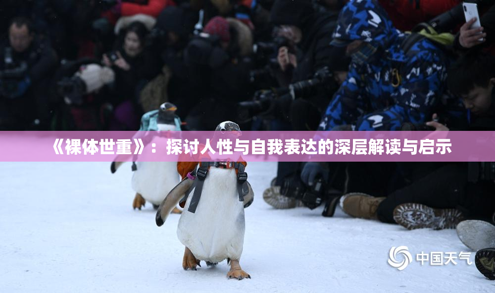 《裸体世重》：探讨人性与自我表达的深层解读与启示