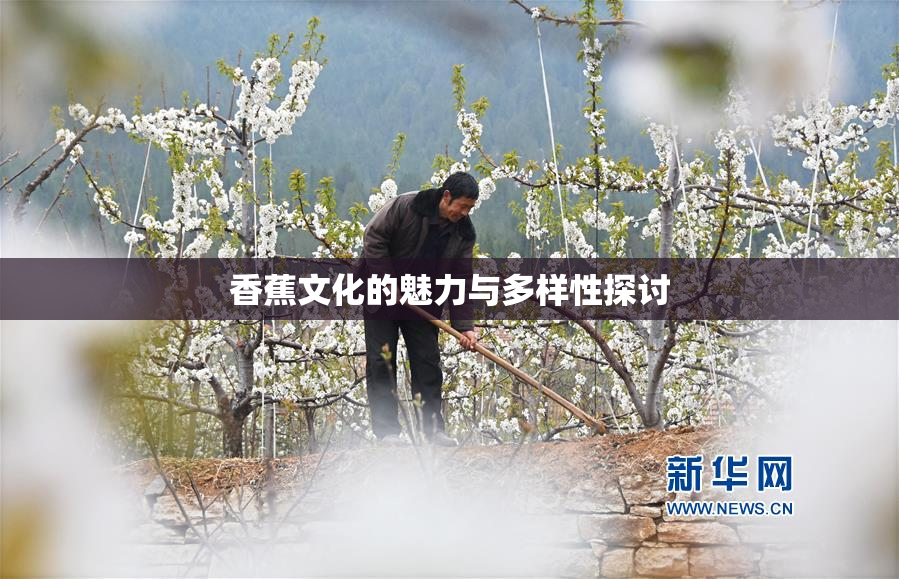 香蕉文化的魅力与多样性探讨