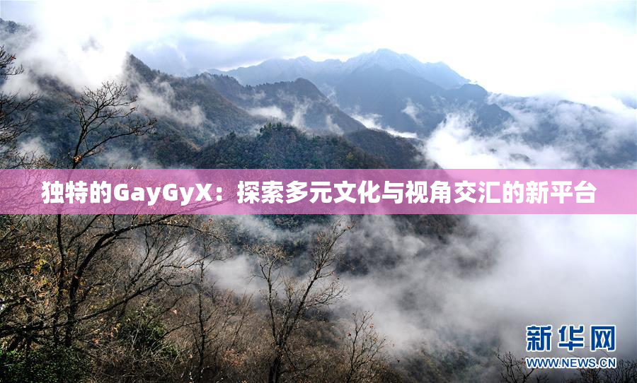 独特的GayGyX：探索多元文化与视角交汇的新平台