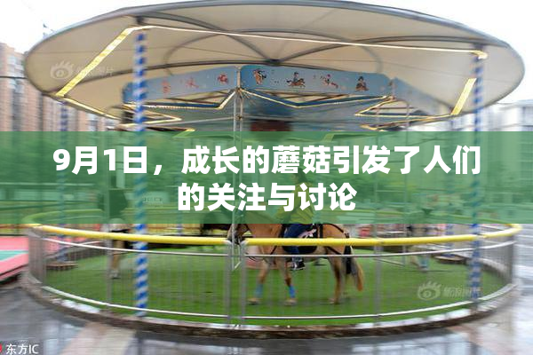 9月1日，成长的蘑菇引发了人们的关注与讨论