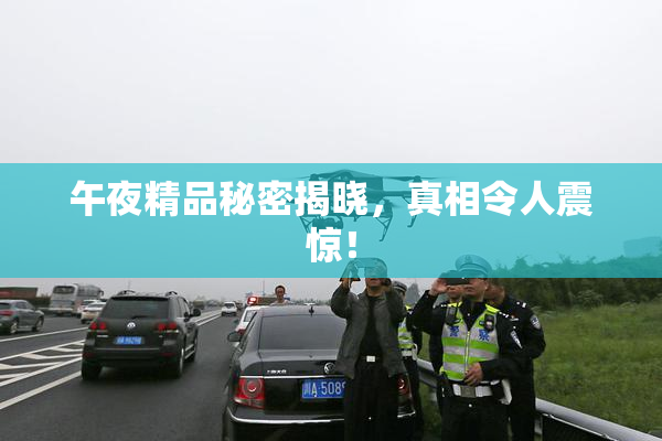 午夜精品秘密揭晓，真相令人震惊！