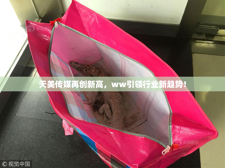 天美传媒再创新高，ww引领行业新趋势！