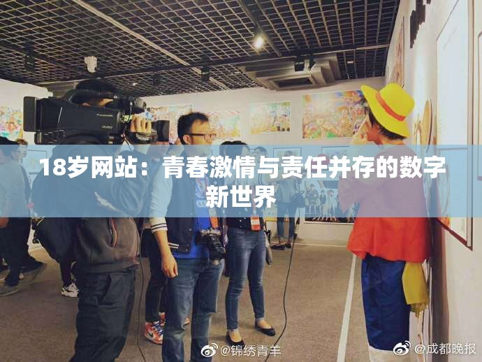 18岁网站：青春激情与责任并存的数字新世界