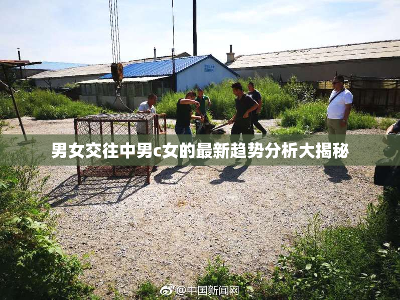 男女交往中男c女的最新趋势分析大揭秘