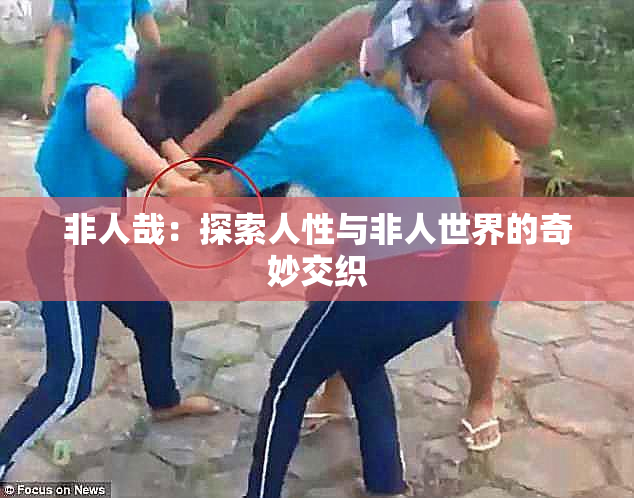 非人哉：探索人性与非人世界的奇妙交织