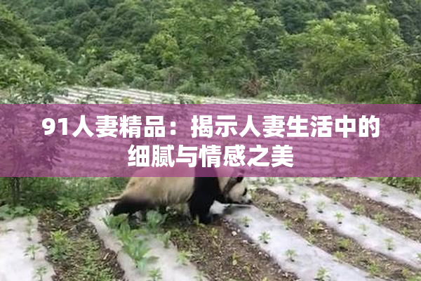 91人妻精品：揭示人妻生活中的细腻与情感之美