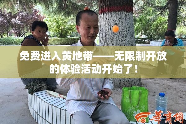 免费进入黄地带——无限制开放的体验活动开始了！